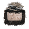 Italian Oyster 'Plant & Grow' Garden Block